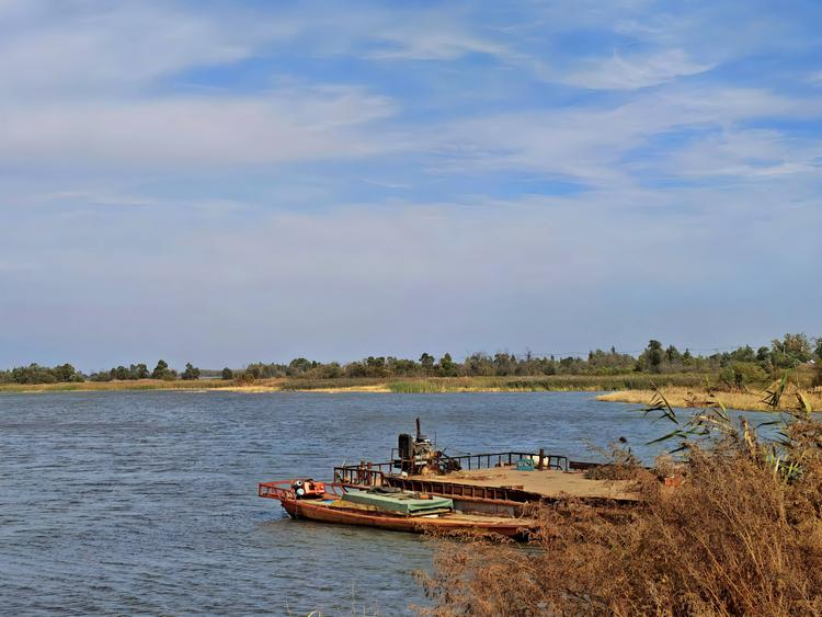 699d4a86910ec.png